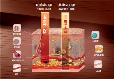 DETOXBODY IŞIKLARININ ÖZELLİĞİ